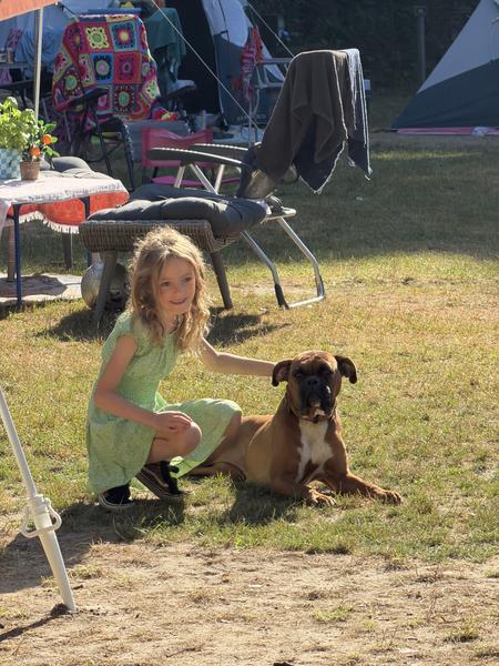 A young girl kneels beside a boxer dog in a grassy campsite
